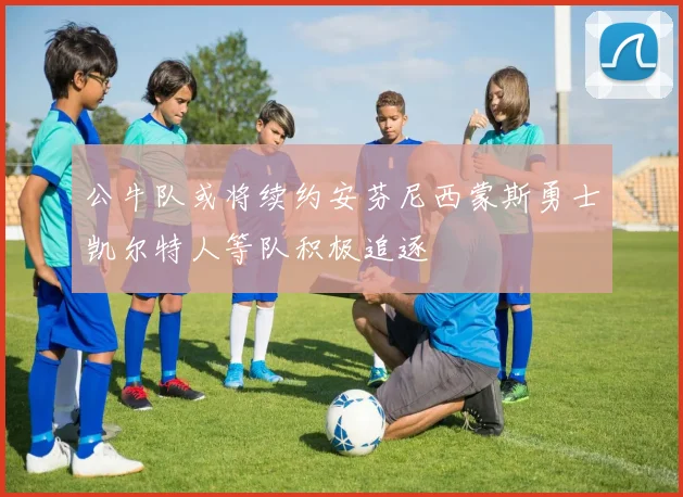 公牛队或将续约安芬尼西蒙斯勇士凯尔特人等队积极追逐