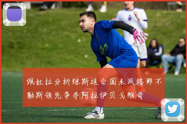佩杜拉分析琼斯适合国米风格那不勒斯领先争夺阿拉伊贝戈维奇